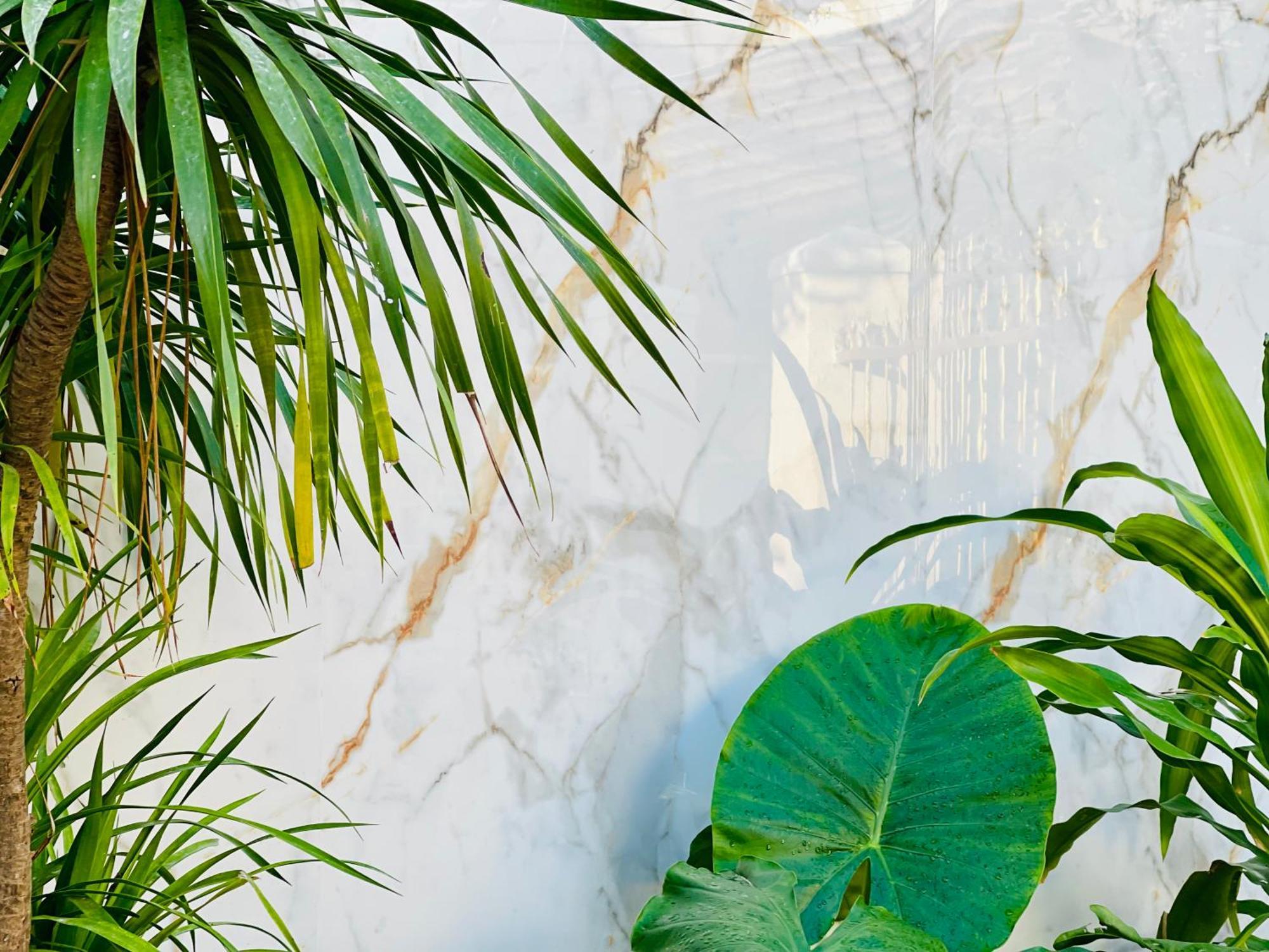 Tina House Apartment Da Nang Buitenkant foto